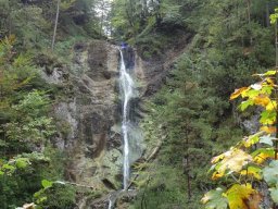 2015 Naturfreundetag (4)